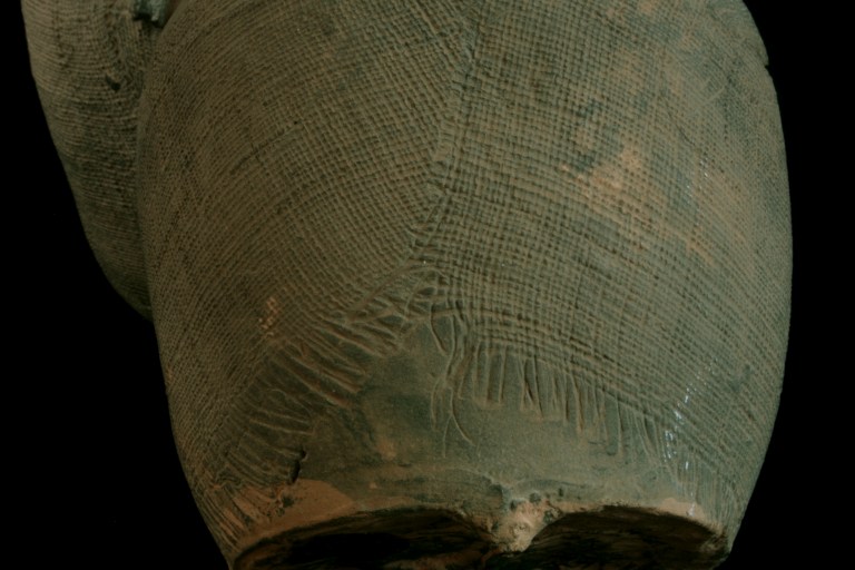 2016-03-28 12.54.38